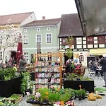 Paradies *