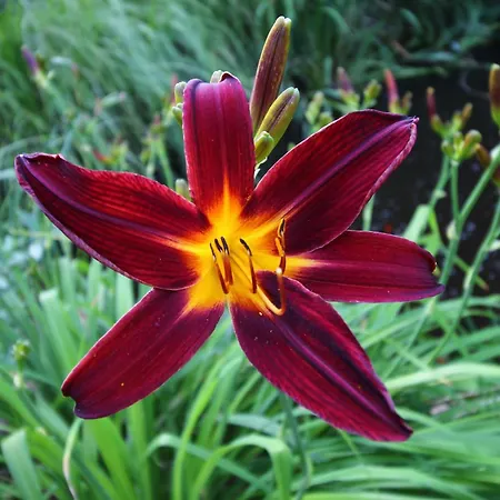 Paradies * Luebbenau