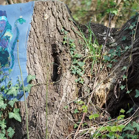 Apartment Paradies Luebbenau