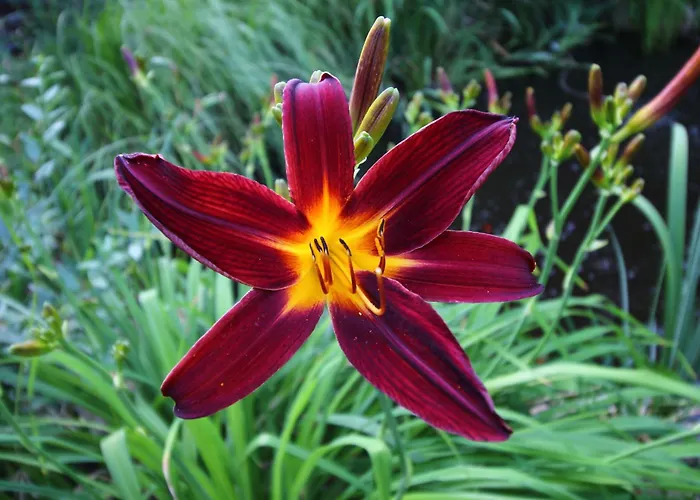 Paradies * Lübbenau